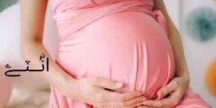 هل يمكنك زيادة وزن الجنين أثناء الحمل ؟