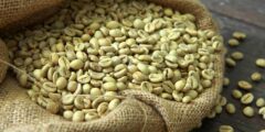 فوائد وأضرار القهوة الخضراء : كبسولات القهوة الخضراء للتنحيف