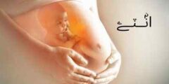 حركة الجنين في الشهر التاسع مع نصائح هامة عند قله حركة الجنين