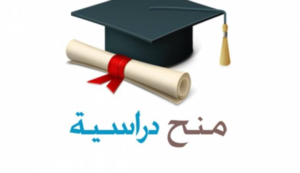 منحة دراسية مجانية في جامعة الملك عبدالعزيز